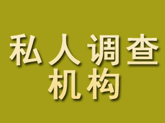 瑞安私人调查机构